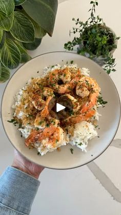 a person holding a plate with rice and shrimp on it next to a potted plant