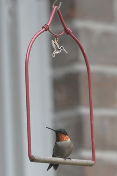 a small bird sitting on top of a red feeder hanging from a metal pole next to a brick building