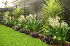 a garden with lots of green plants and white flowers in the grass next to a fence