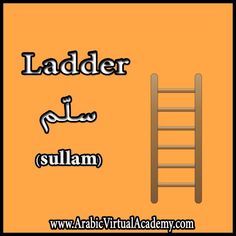 ladder with the words ladder and sullam in arabic