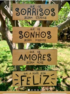 wooden signs hanging from the side of a tree