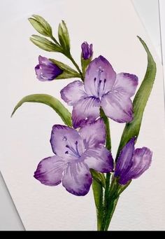 some purple flowers are sitting in a vase