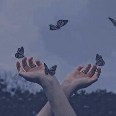 two hands reaching for butterflies in the sky