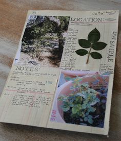 a piece of paper with pictures of trees and plants in it on top of a wooden table