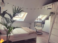 a bedroom with a hammock hanging from the ceiling