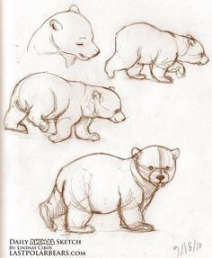 three polar bears are shown in this drawing