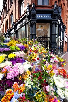 a bunch of flowers that are sitting on the side of a building in front of a store