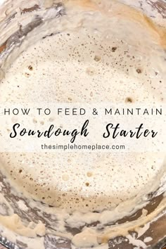 how to feed and maintain sourdough starter in a bowl with the words, how to feed and maintain sourdough starter