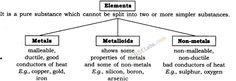 the structure of an animal's food and its functions in cooking, including meats,