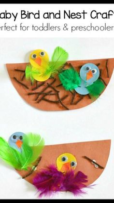 two paper plates with birds and feathers on them, one is made out of cardboard