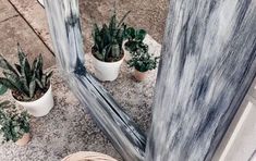 several potted plants sitting on the ground next to a mirror