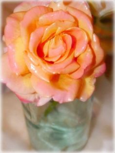 an orange rose in a glass vase on a table