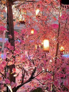 a tree with pink flowers and lanterns hanging from it's branches