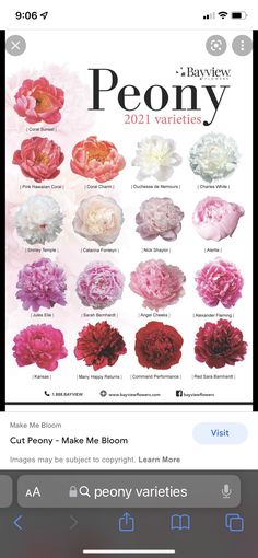 the peony app on an iphone shows different types of peonies and their names