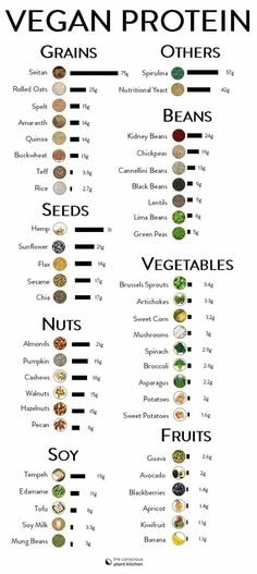 Protein Chart, Vegetarian Protein Sources, Vegan Protein Sources, Vegetarian Protein, Vegan Nutrition, Diet Vegetarian, Vegan Protein, Vegan Foods