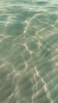 the water is very clear and blue with little ripples on it's surface