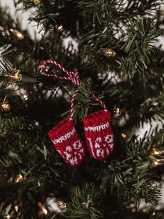 two knitted mittens hanging from a christmas tree