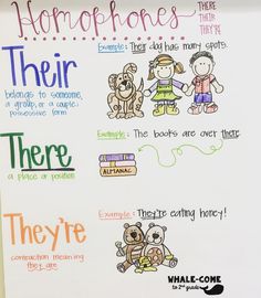 there are many different types of homophones on this poster, and they're