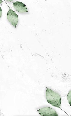 some green leaves on a white surface with space for text or image in the center