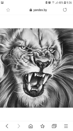 a black and white drawing of a lion's face with its mouth open, showing teeth