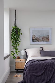 a bedroom with a bed, plant and pictures on the wall