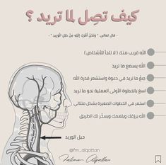 the head and neck are labeled in arabic