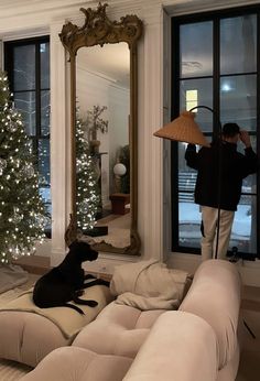 a person taking a photo of a living room with a dog sitting on the couch