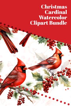 Step into a world of artistic freedom with our Christmas Cardinal Watercolor Clipart Bundle. These versatile, high-quality images are perfect for crafting, scrapbooking, or even designing your own Christmas cards. The vibrant colors and intricate details are guaranteed to make any project stand apart, making this bundle a must-have for the festive season.