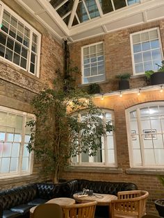 a living room filled with furniture next to windows and potted plants on the wall