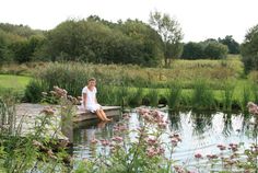 a man sitting on a dock in the middle of a pond surrounded by wildflowers