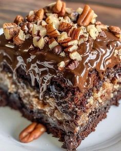 a close up of a piece of cake on a plate with chocolate frosting and nuts