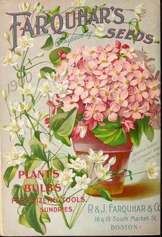 an advertisement for farquar's seeds featuring pink and white flowers