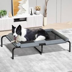 Amazon.com : PETIME Cooling Elevated Pet Cushion Bed Raised Dog Cots Beds for Small Dogs, Portable Indoor & Outdoor Pet Hammock Bed, Frame with Breathable Mesh and Removable Bolsters (42 Inch) : Pet Supplies Raised Dog Beds, Cushion Bed, Cleaning Pet Hair, Outdoor Dog Bed, Pet Hammock, Hammock Bed