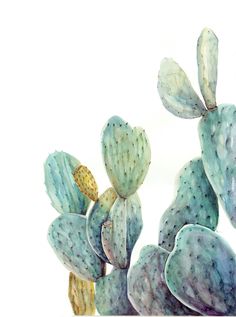 a watercolor painting of a cactus plant on a white background with blue and green colors