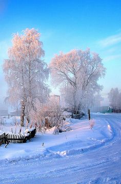 a snow covered park bench sitting in the middle of a snowy field next to trees