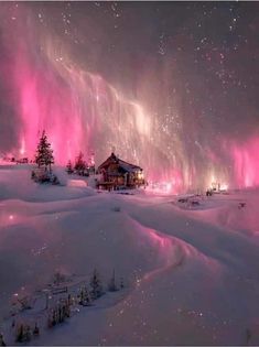 the aurora bore is lit up in pink and purple lights above snow covered hills with trees