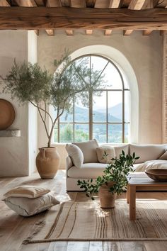 a living room filled with furniture and a potted plant in front of a large window