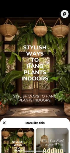 Hanging Plants, Indoor Plants, Plants