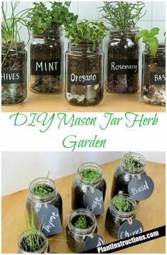 mason jar herb garden with herbs in it and labeled on the jars, sitting on a table