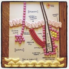 a cake made to look like the anatomy of a woman's neck and arm