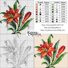 the cross stitch pattern shows different flowers