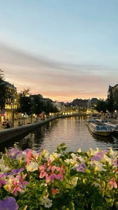 boats are parked along the side of a river at dusk with flowers growing in the foreground