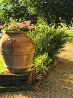 a large potted planter sitting in the middle of a garden