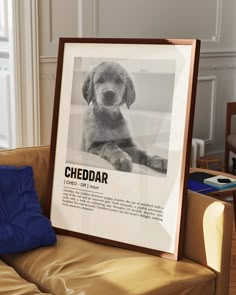 a dog sitting on top of a brown couch next to a framed poster with the caption cheddar