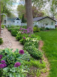 a garden filled with lots of flowers next to a tree