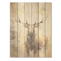 an image of a deer with antlers on it's head hanging on a wooden wall