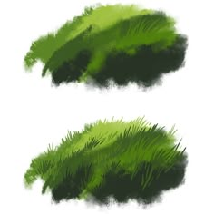 green grass on white background with clippings for text or image in separate layers