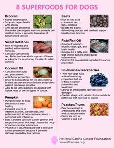 the 8 superfoods for dogs list is shown in pink and has different types of food