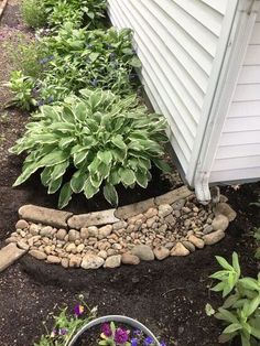 a garden with rocks and flowers next to a house