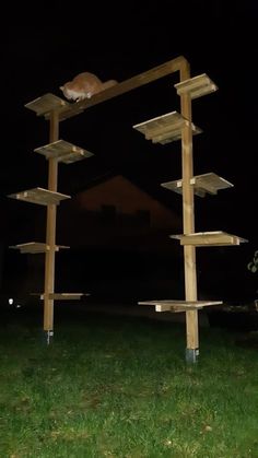 a cat sitting on top of a wooden structure